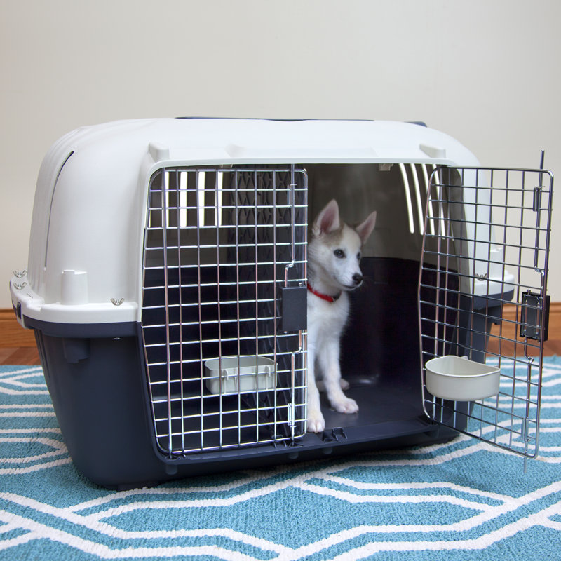 Tucker Murphy Pet™ Sportpet Designs Large Double Wire 2Door Plastic